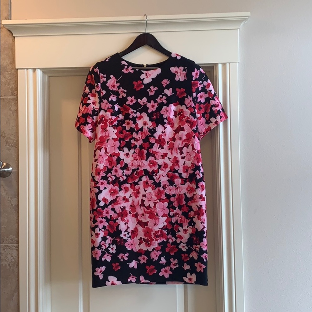 Eliza J Black & Pink Floral Shift Dress
